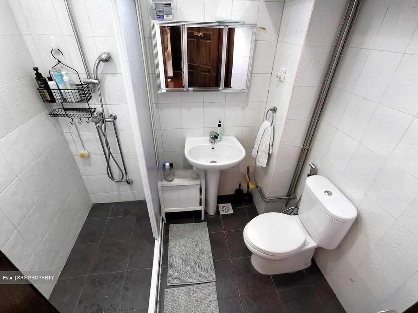 Orchard Towers (D9), Apartment #498047521
